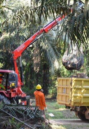 Pemanfaatan mekanisasi pada proses pemanenan meningkatkan efisiensi dan efektivitas, khususnya area yang sulit dijangkau pemanen. 