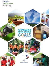 Sustainability Report 2020